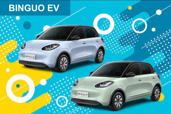 BINGUO EV